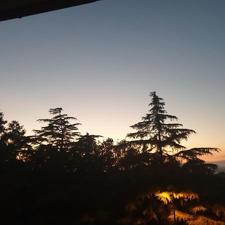 Alloggio Turistico Montefiascone Bagian luar foto