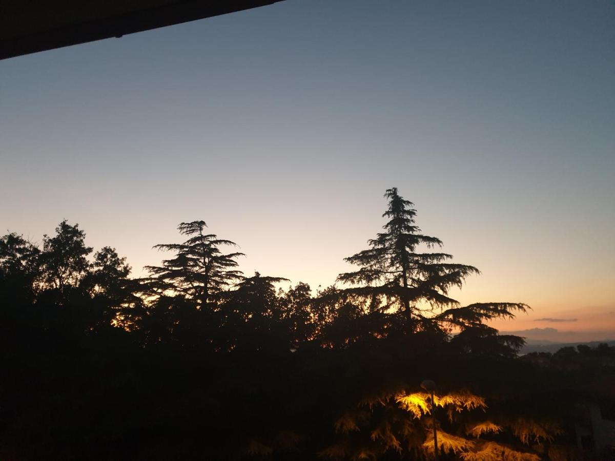 Alloggio Turistico Montefiascone Bagian luar foto